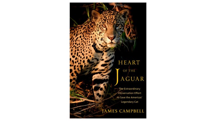 'Heart of the Jaguar' cover