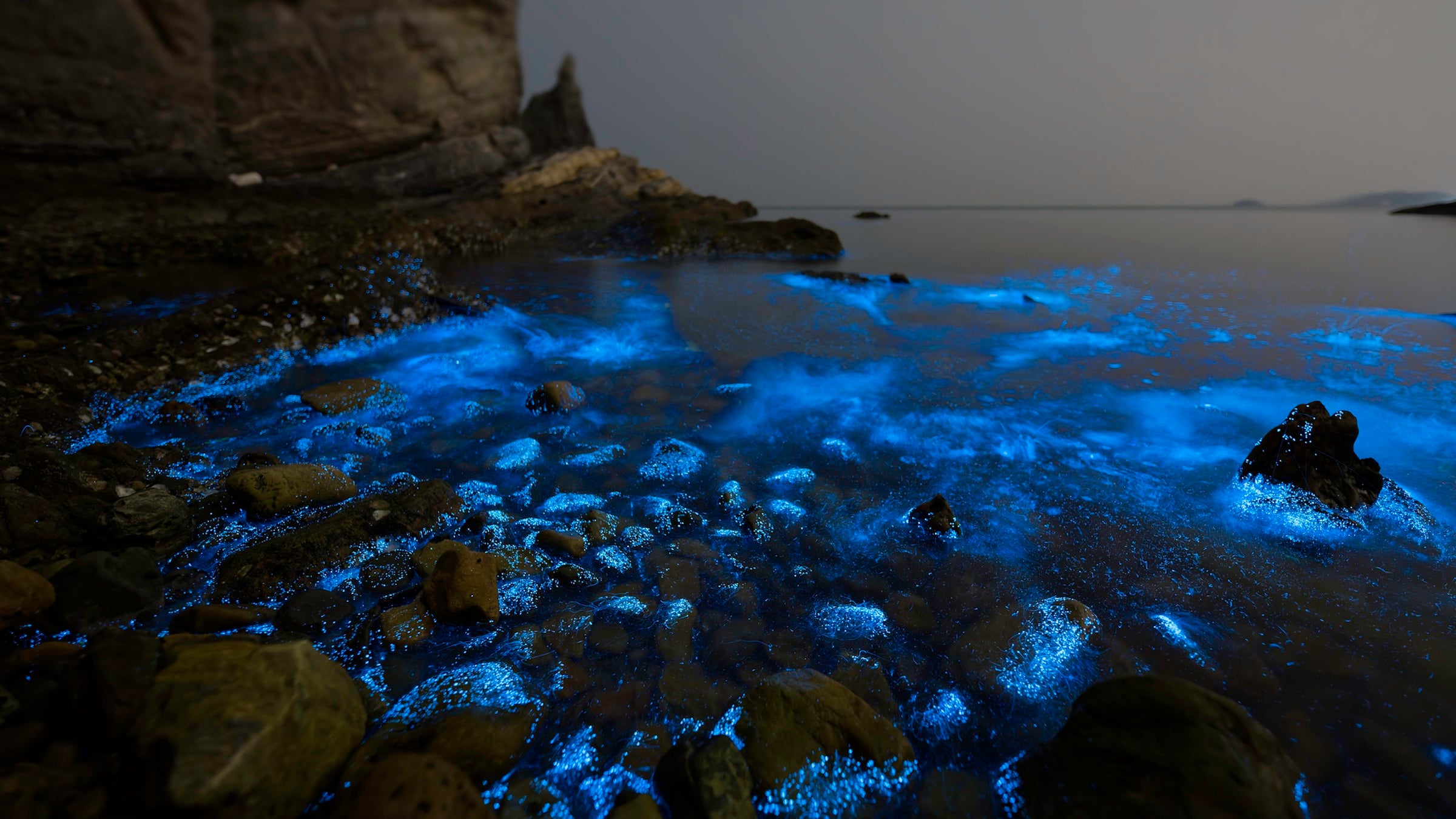 Blue bioluminescent waves washing onto a rocky beach at night