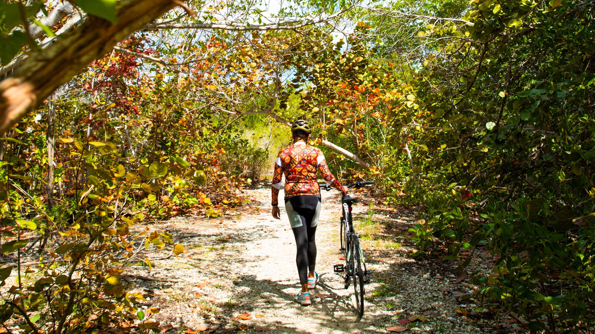 A person walking their bike through a sunny forest path.
