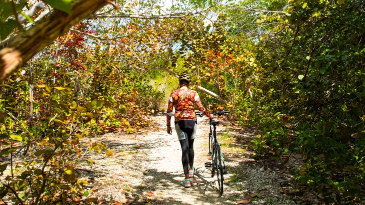 A person walking their bike through a sunny forest path.