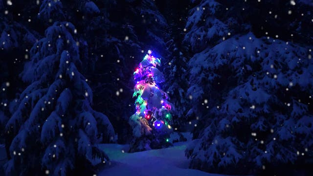 These 5 National Parks Light up the Most at Christmas 