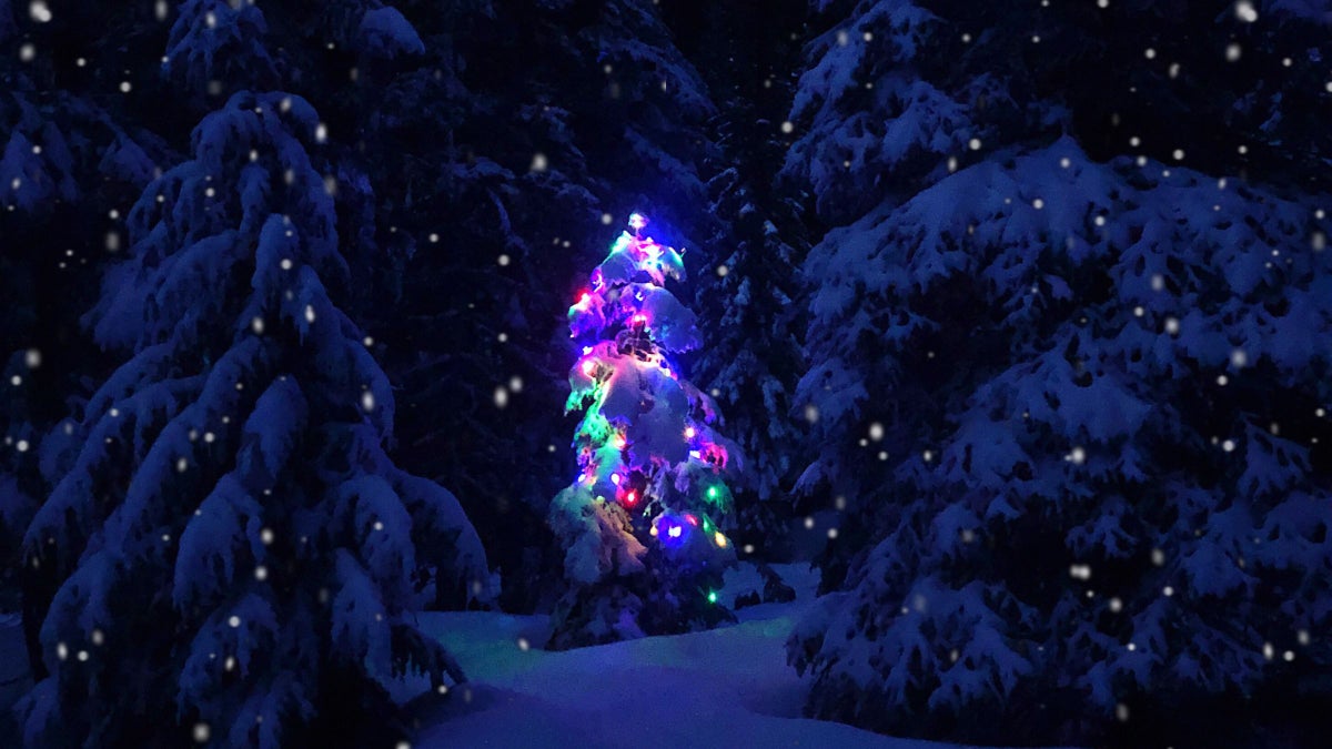 5 National Parks That Light up for the Holidays