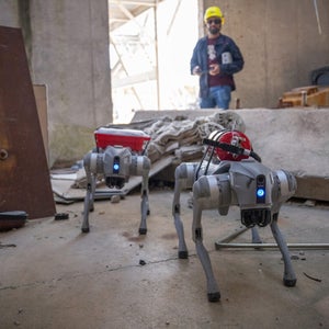 Prototype robotic dogs built by Texas A&M University engineering students