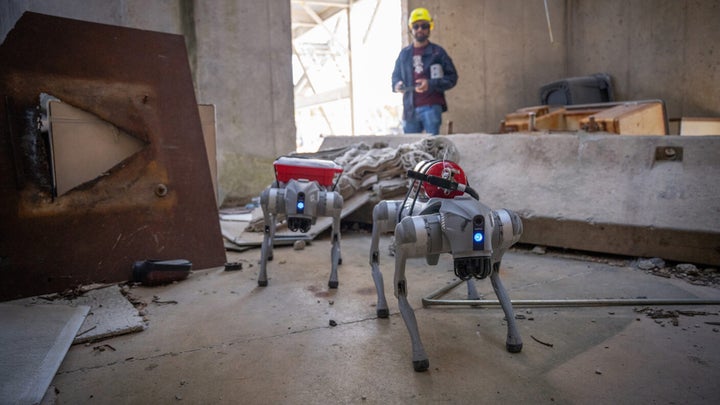 Prototype robotic dogs built by Texas A&M University engineering students