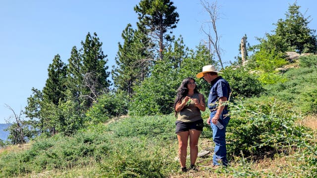 A Displaced Tribe Just Reclaimed 900 Acres Near Yosemite National Park