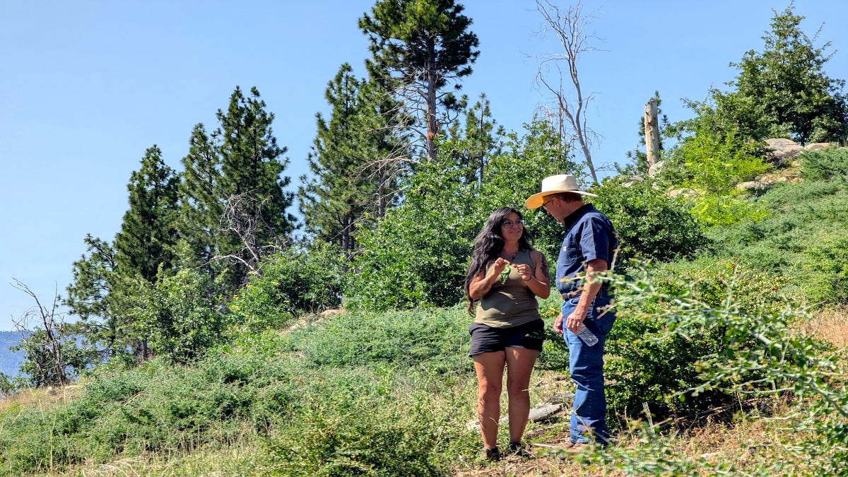 ‘A Sanctuary for Our People’—A Displaced Tribe Just Reclaimed Ancestral Territory Near Yosemite