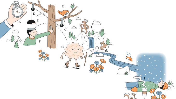 Abstract illustration of a brain taking a nature hike.