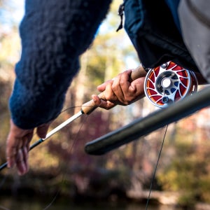 Angler holding a fishing rod and reel while fly fishing along a wooded stream, with a close-up of the reel and cork handle in natural light, photographed by Brent Doscher.