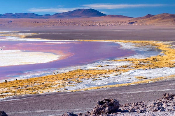 Laguna Colorada, Bolivia