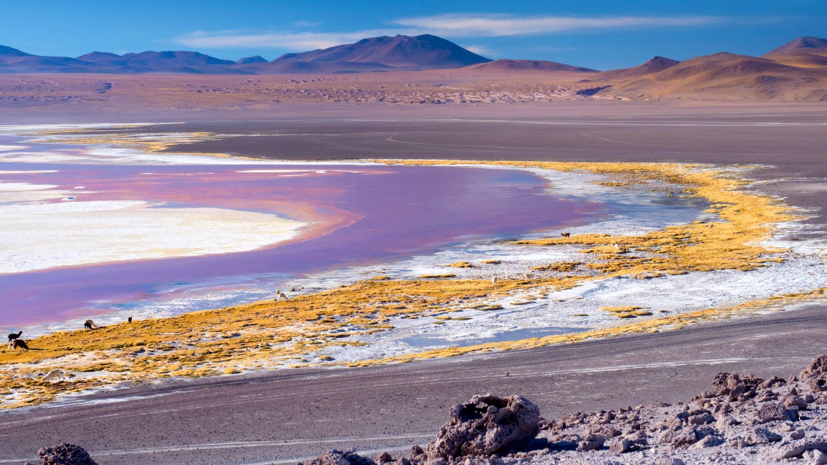 Escape Dystopian Times at These 9 Ethereal Places