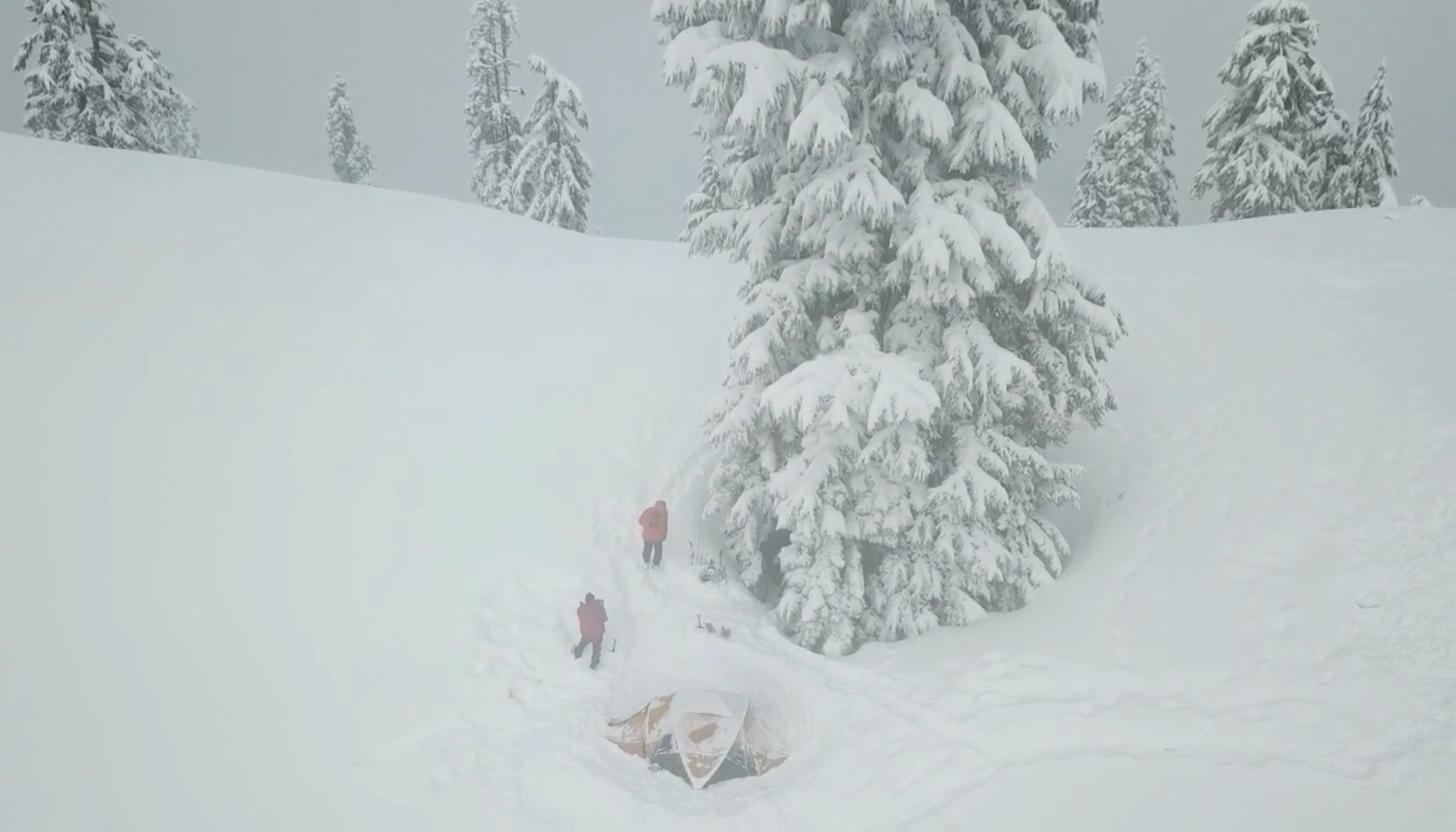 California Survival School Cold Weather Survival Training