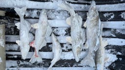 Think You’re Tough? Spend an Afternoon at Minnesota’s Coldest Ice Fishing Derby.