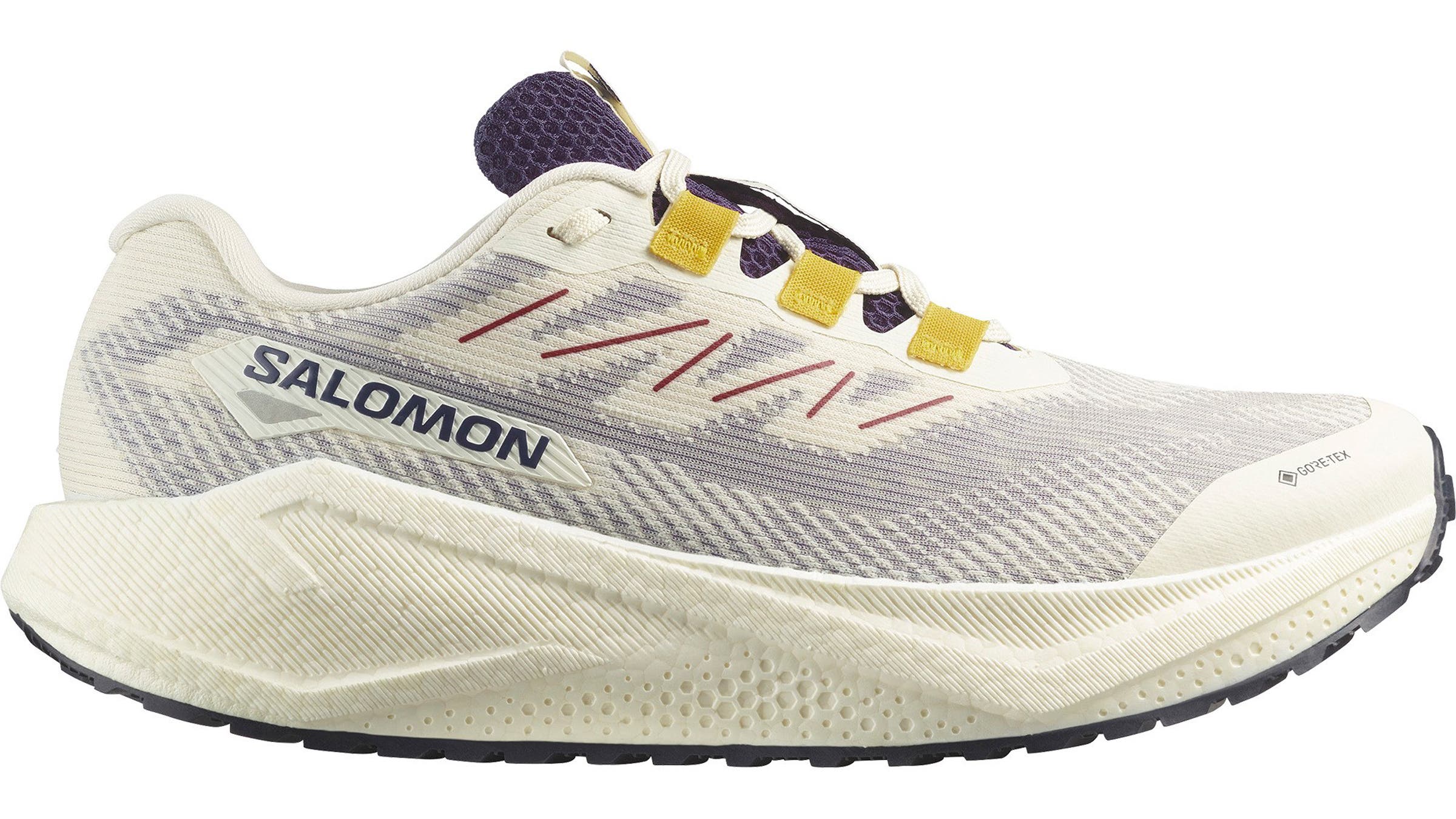 Salomon Aero Blaze 3 GRVL GTX winter running shoes white on white background.