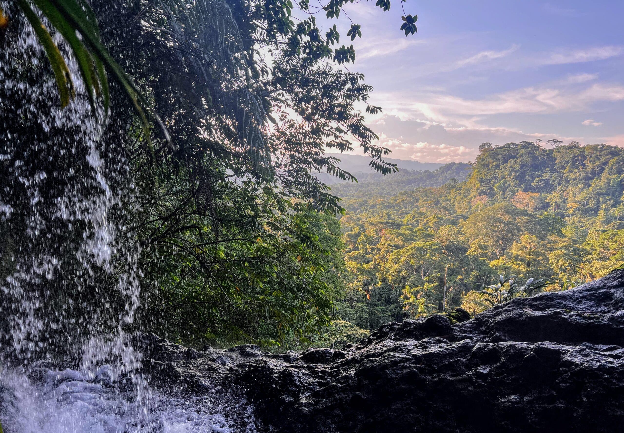 The Ecuadorian Amazon: a waterfall and forest