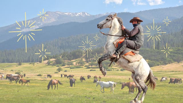 Breaking Horses, Driving Cattle, and What 'Yellowstone' Got Wrong: I’m a Full-Time Professional Cowboy