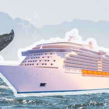 cruise ship in front of whale tail