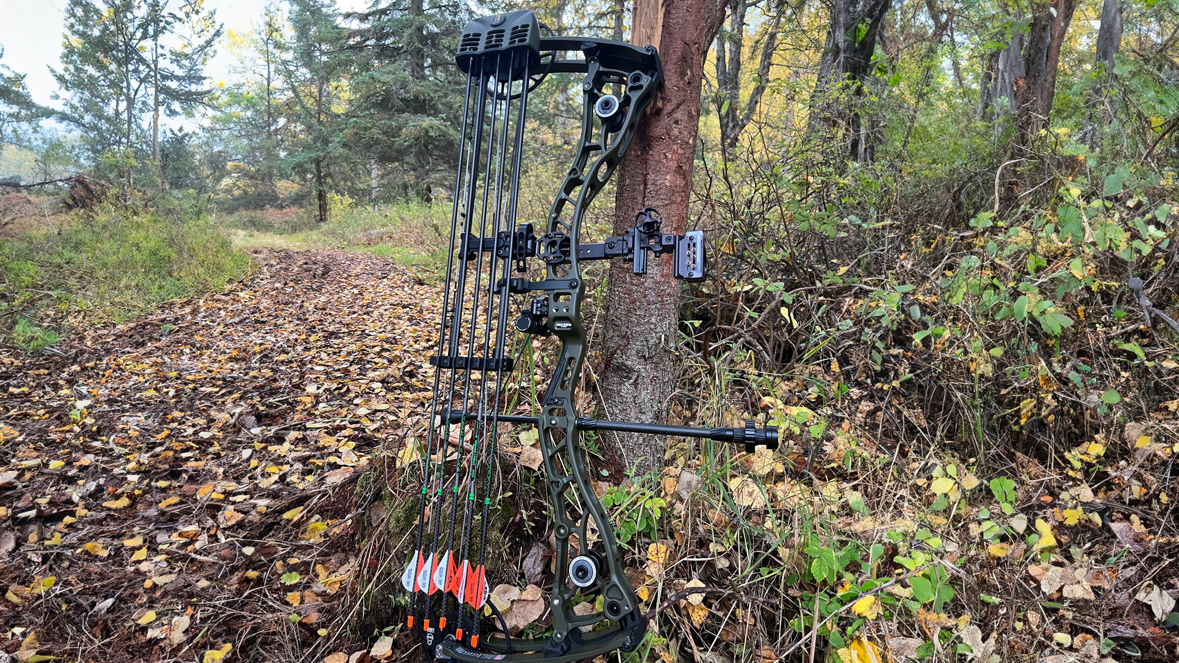 Bowtech Proven 34 compound bow leaning against a tree along a forest trail, outfitted with sight, stabilizer, quiver, and arrows, highlighting essential hunting accessories in a wooded setting.