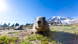 These States Will See a Slower Start to Spring