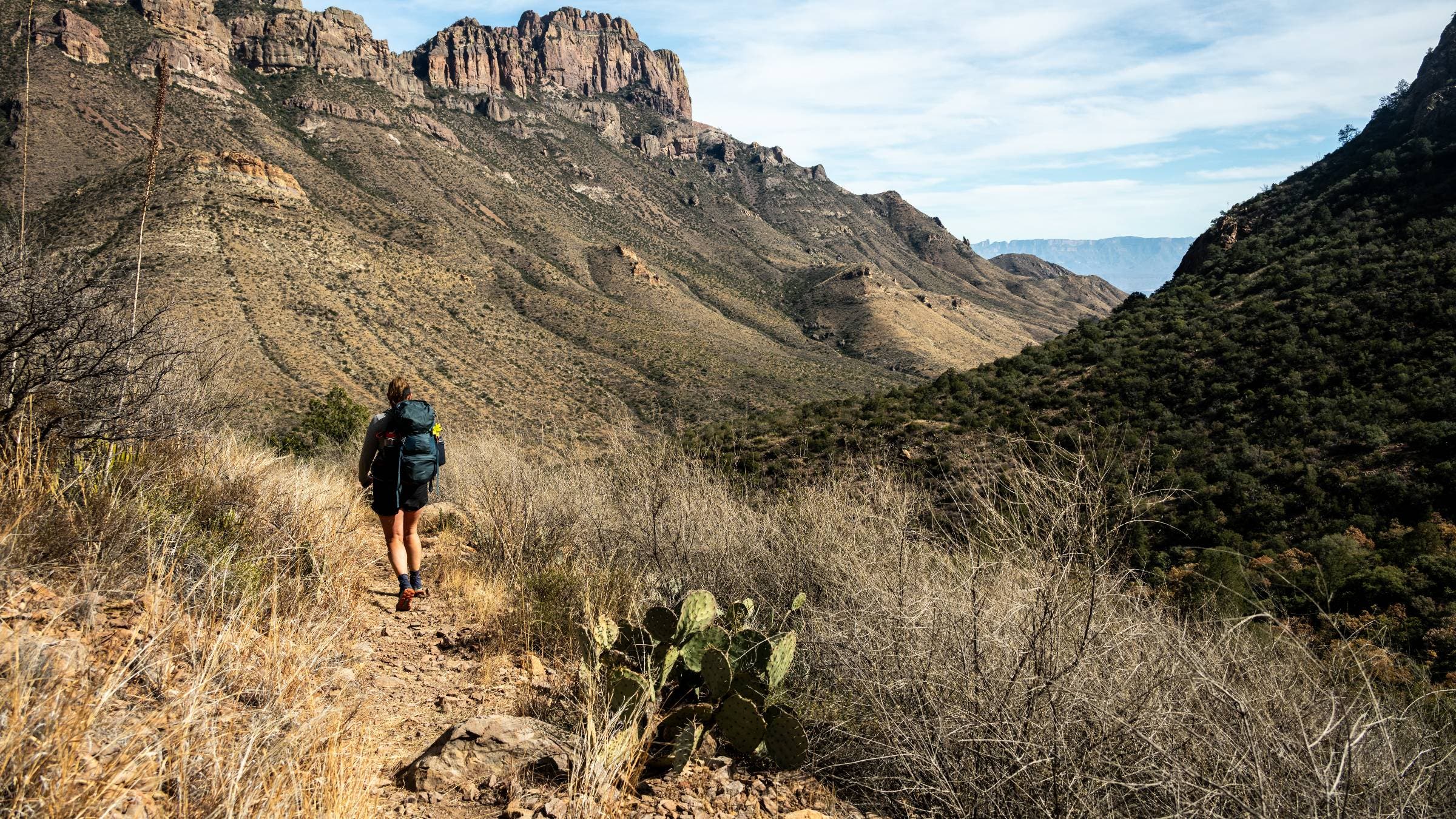 Juniper Canyon Trail inBig Bend National Park