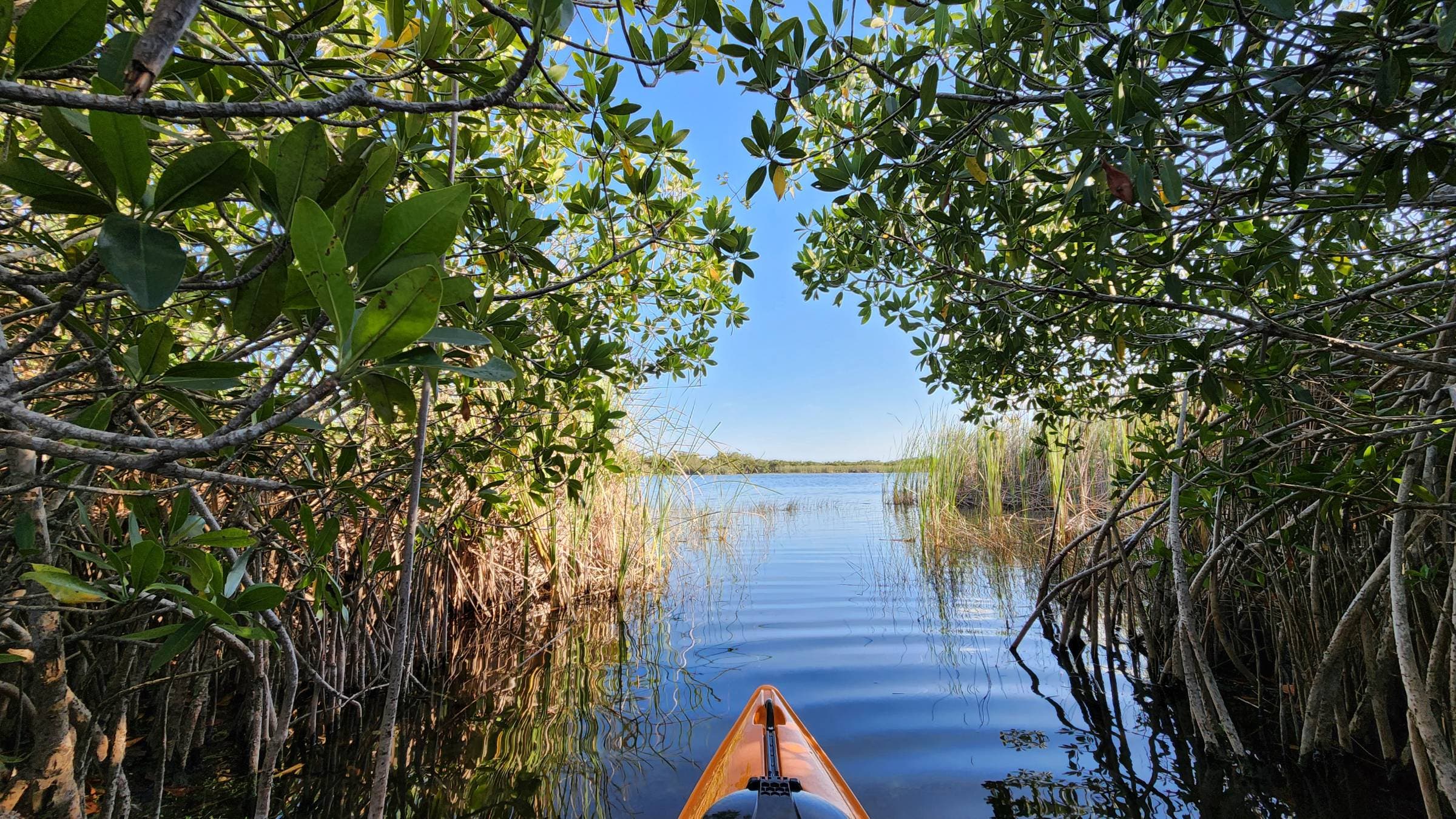 Everglades National Park, Florida