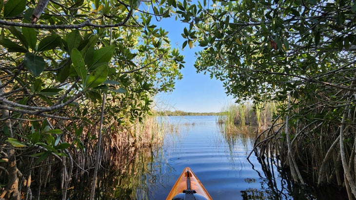 Everglades National Park, Florida