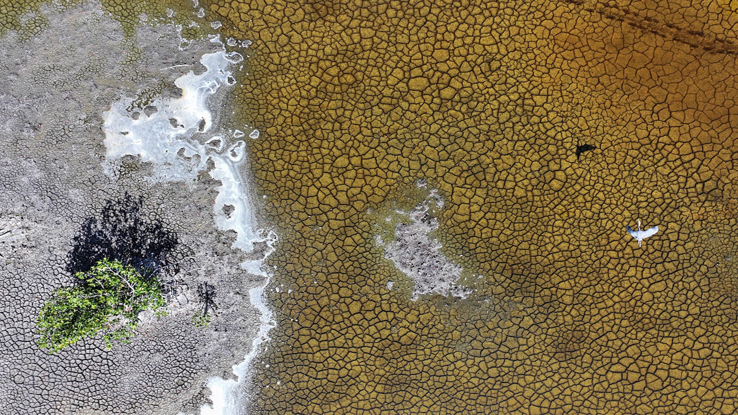 In an aerial view, dry parts of the Big Cypress National Preserve show a severe drought in May 2025