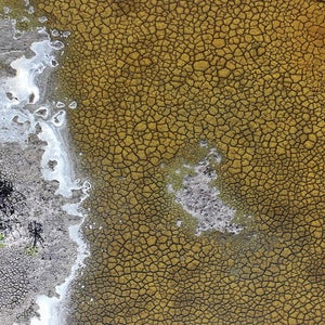 In an aerial view, dry parts of the Big Cypress National Preserve show a severe drought in May 2025