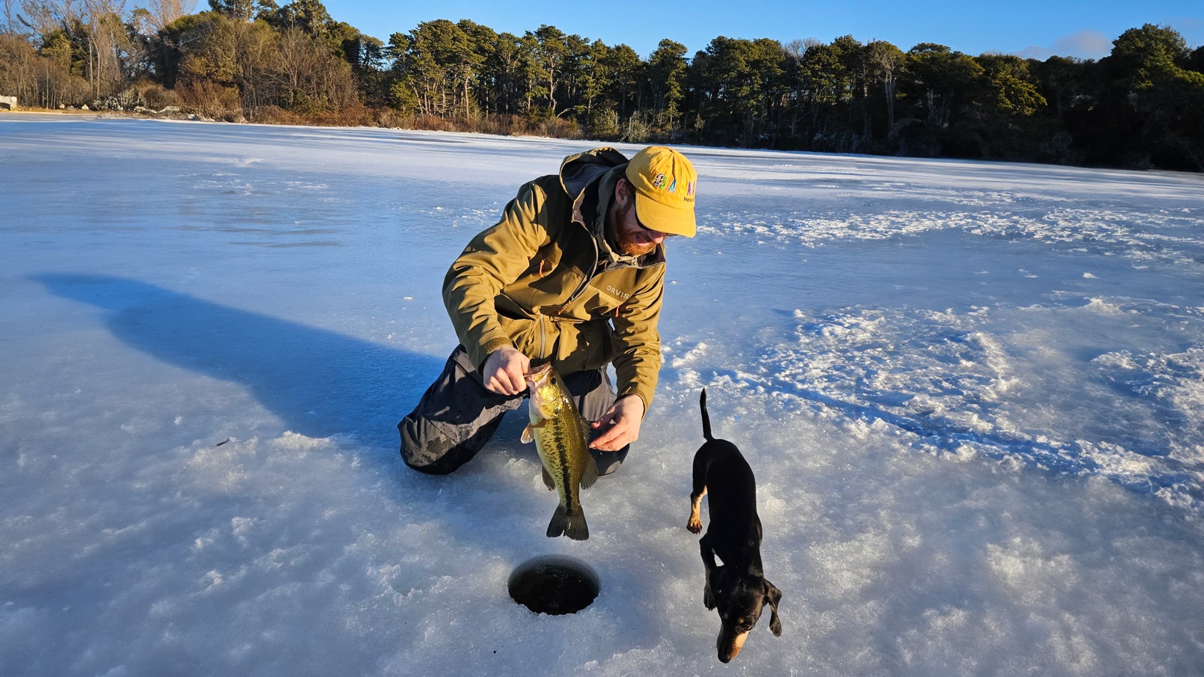 An angler kneels on a frozen lake lifting a largemouth bass from an ice hole while a small dog sniffs nearby, surrounded by winter layers, boots, and essential ice fishing gear under clear blue skies.