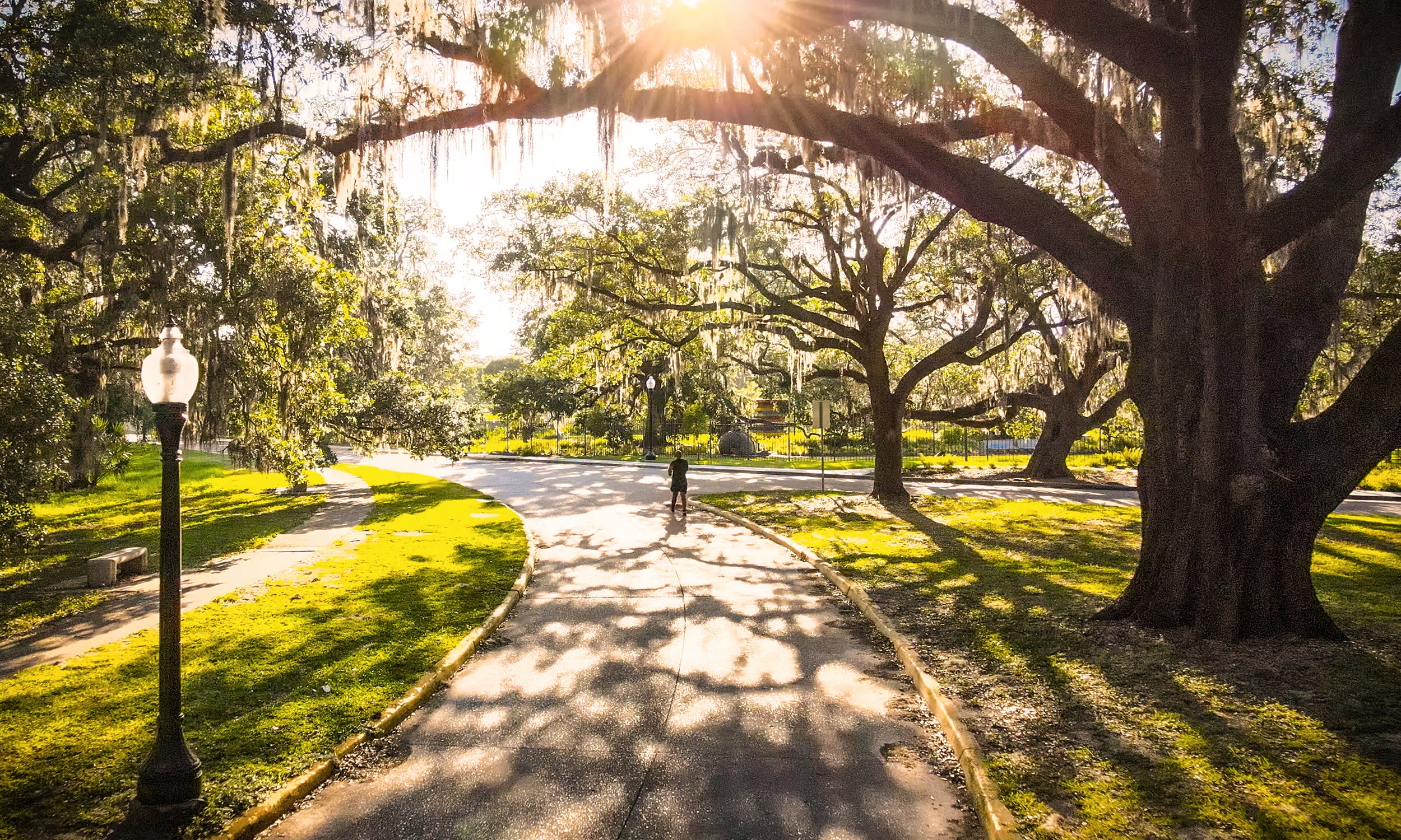 New Orleans park