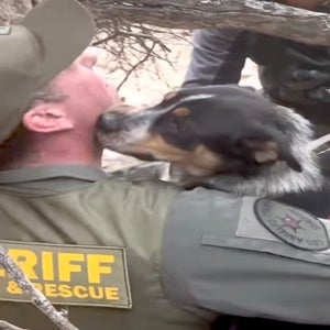 santa clarita dog rescue hot dogs