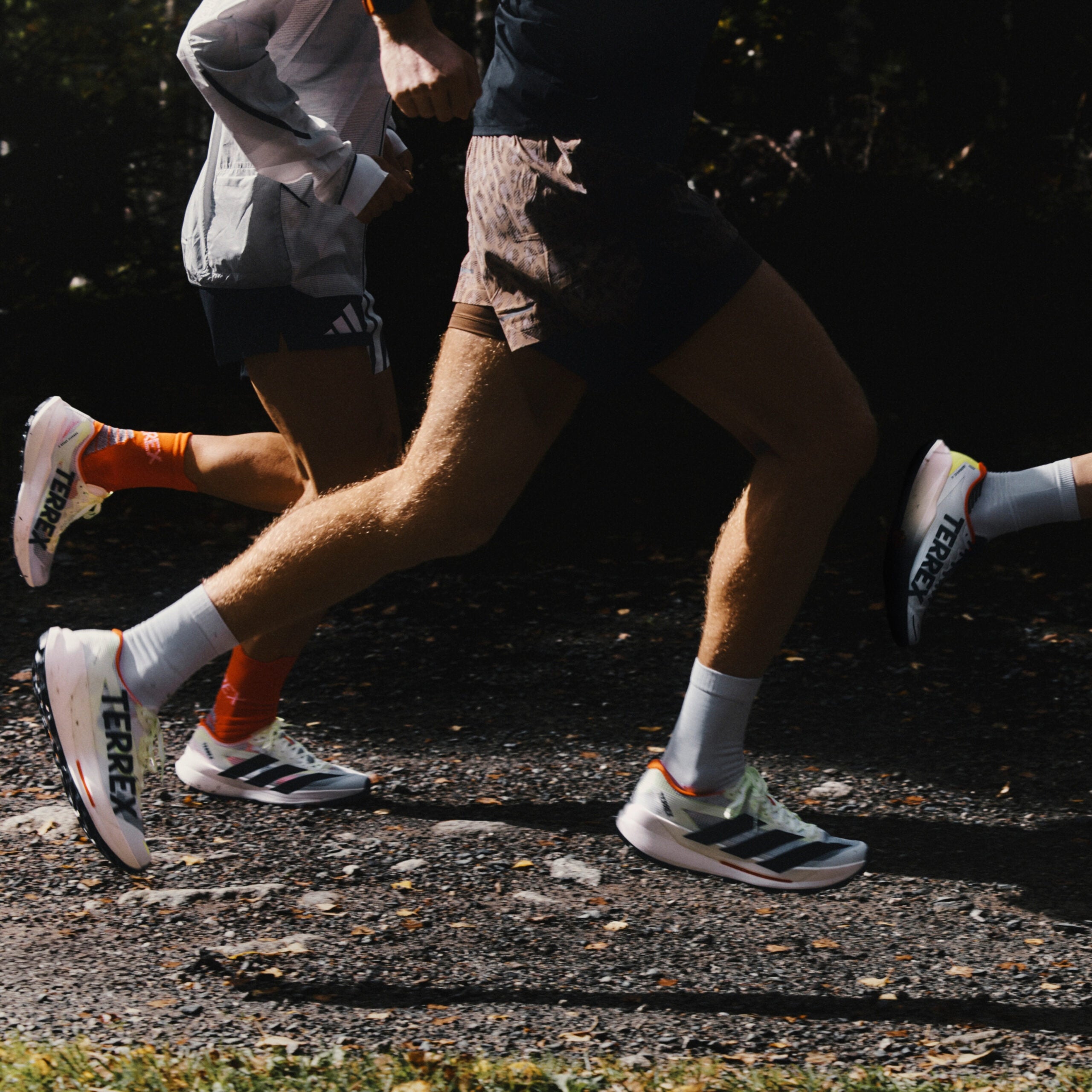The Next Generation of Elite Trail Shoes