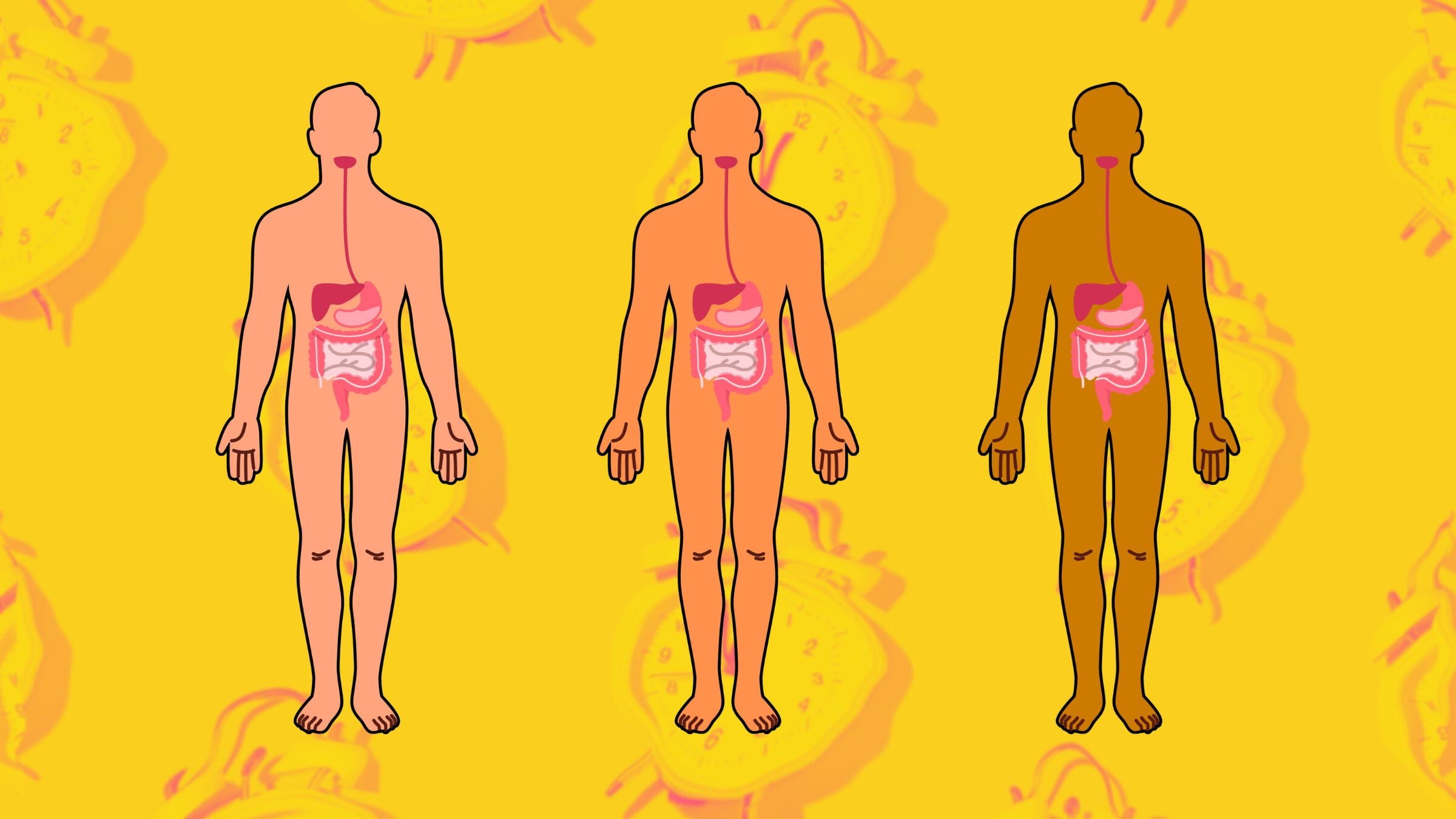 eating close to bedtime with three people with zoomed in digestive systems on a clock background