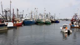 New True Crime Podcast 'Catching the Codfather' Explores the Rise and Fall of Carlos Rafael