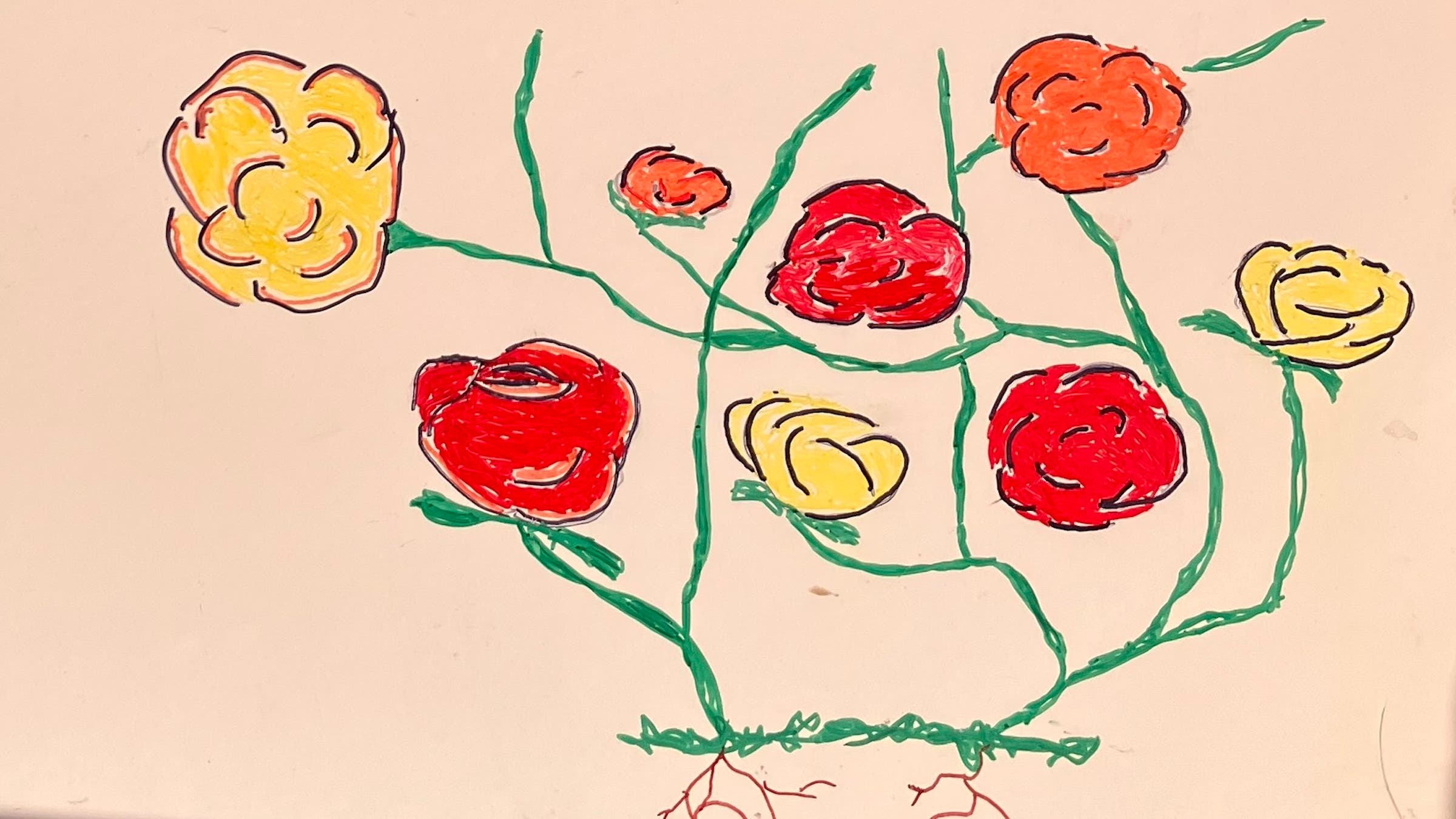 natalie ogden mikey lear canoe america