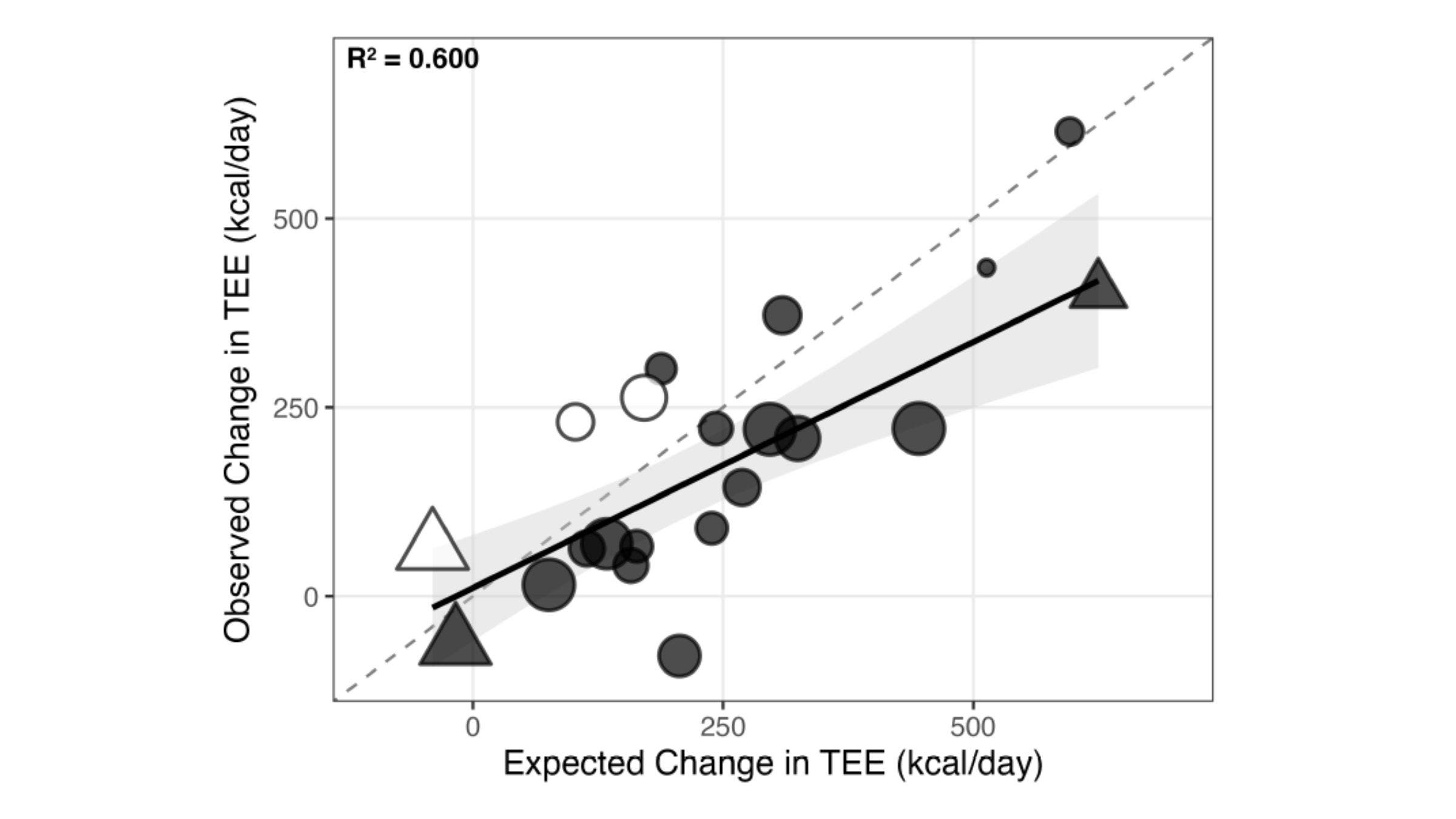 Exercise doesn’t increase calorie burn by as much as you would expect.