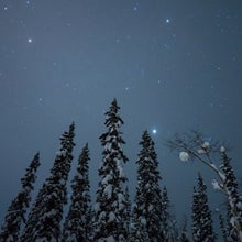 planets and stars in back of snowy pine trees