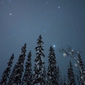 planets and stars in back of snowy pine trees