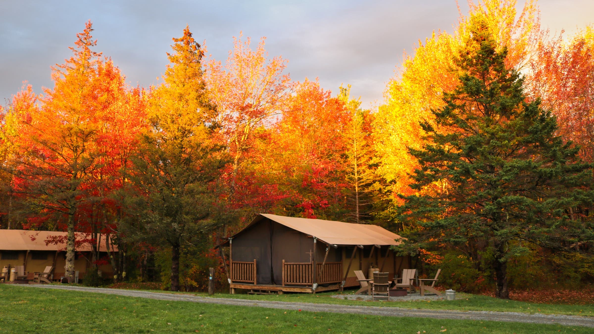 Cabins surrounded by trees with yellow-orange leaves.