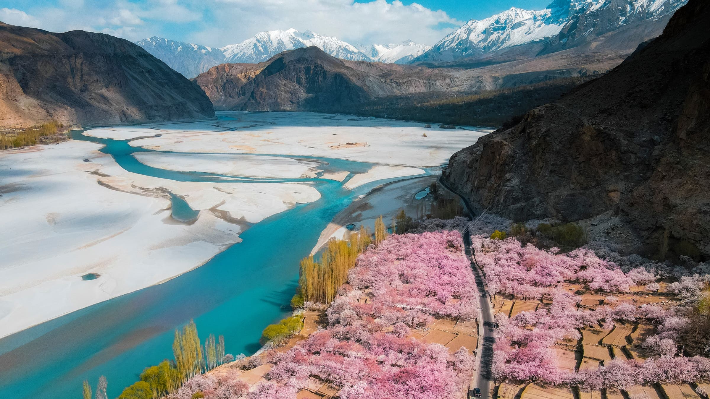 Aerial view of blossoming cherry trees in a mountainous, snow-capped valley.
