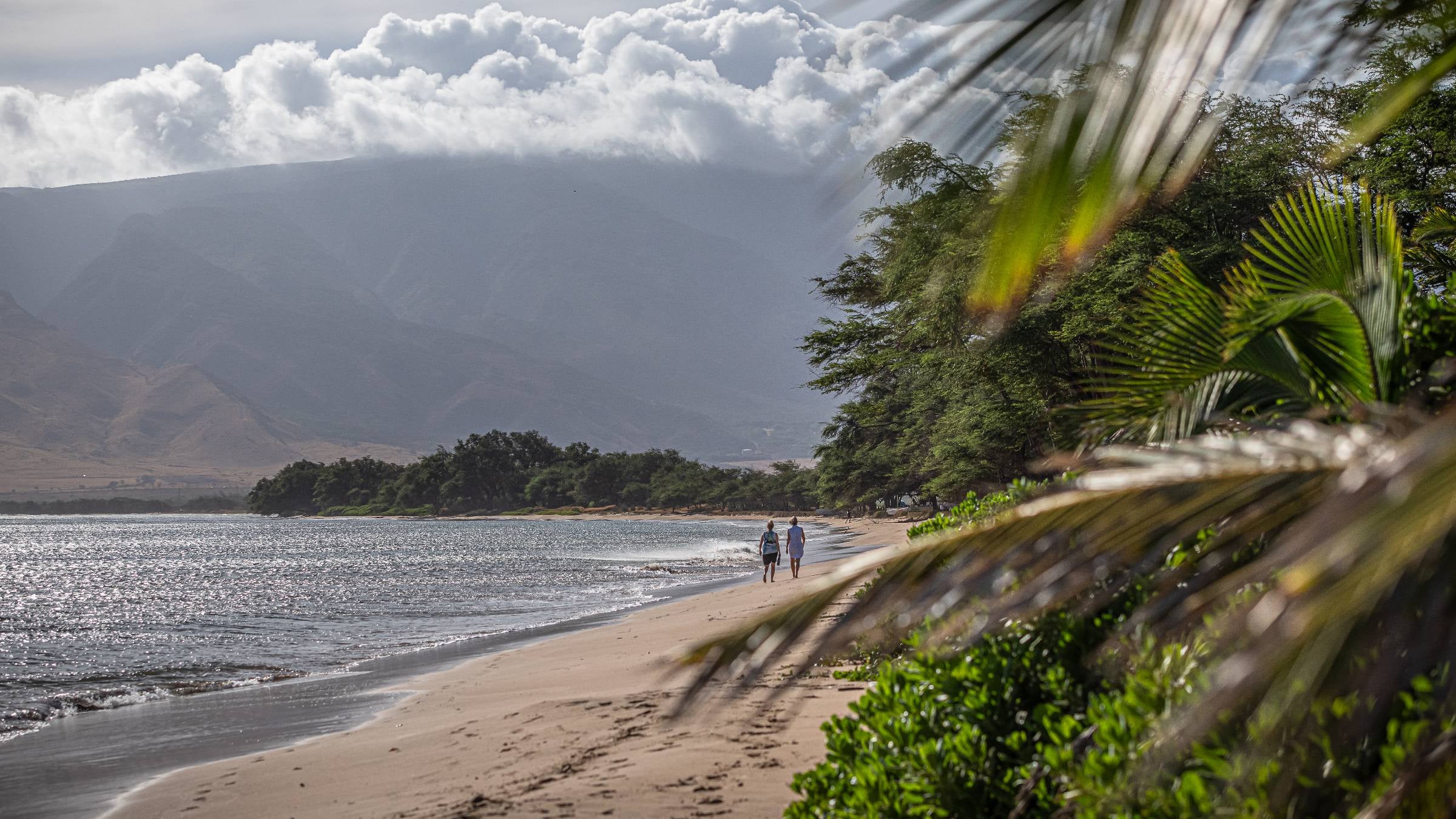 Two people walking on Sugar Beach in Kihei, Maui, Hawaii.