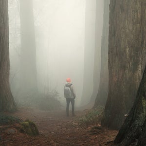 A 71-year-old hiker was rescued after being lost for three days in the northern California backcountry