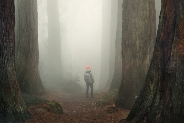 A 71-year-old hiker was rescued after being lost for three days in the northern California backcountry