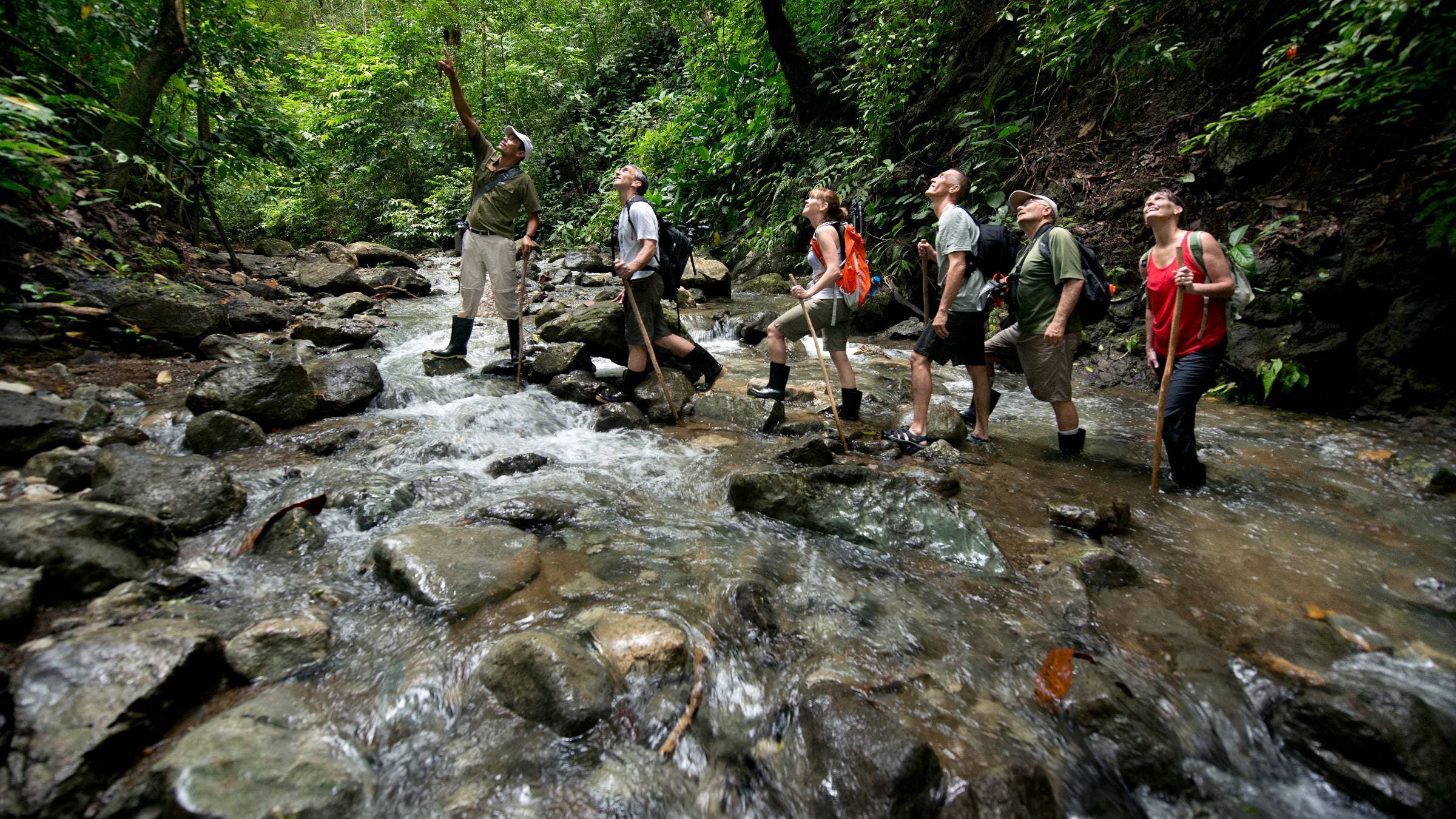 Eco-tourists hike a rain forest trail along the Osa Peninsula, Costa Rica.