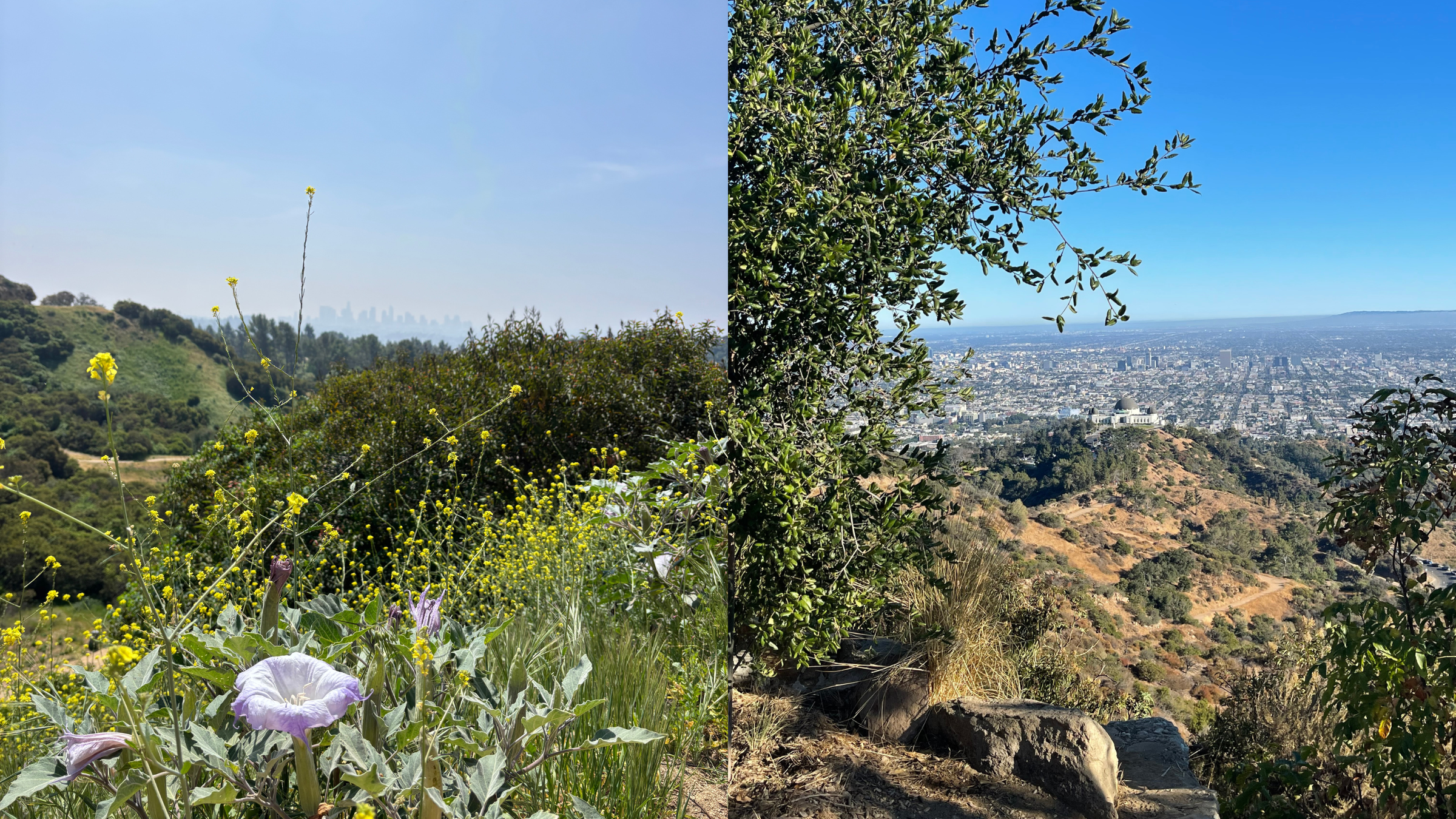 Griffith Park: Los Angeles, California