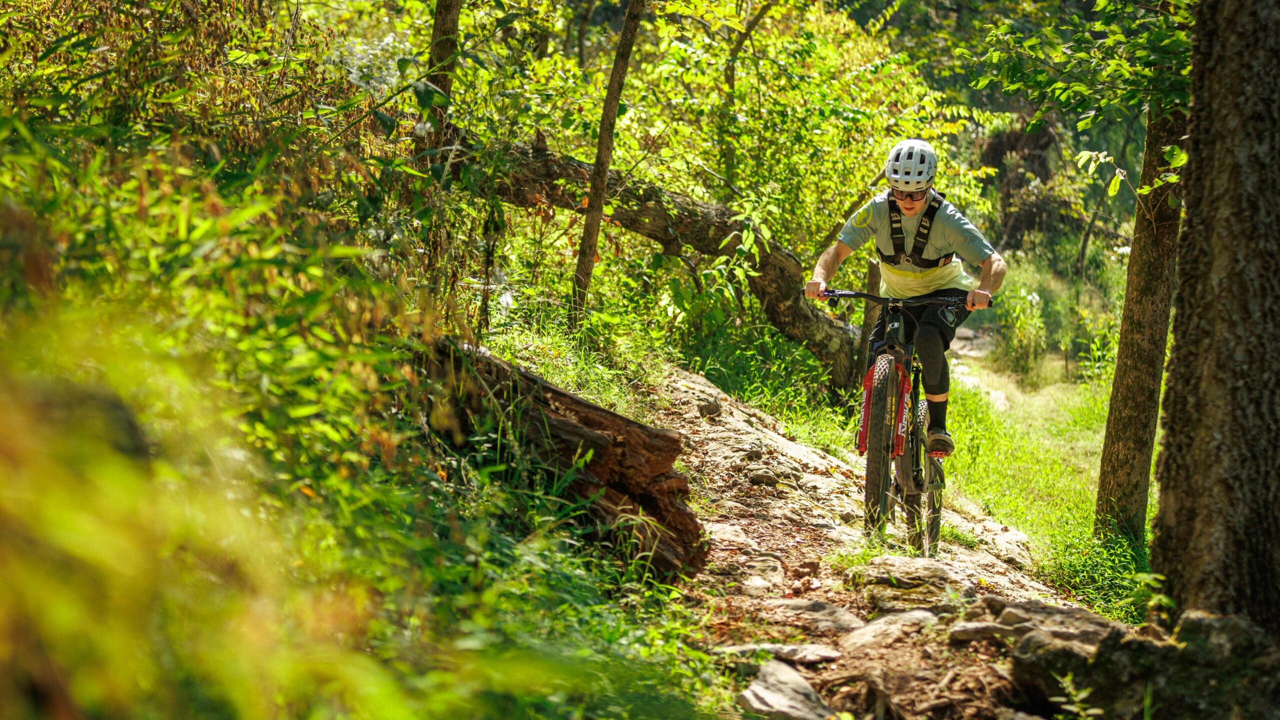 Mountain biker pedaling Propain Hugene trail mountain bike up wooded singletrack trail