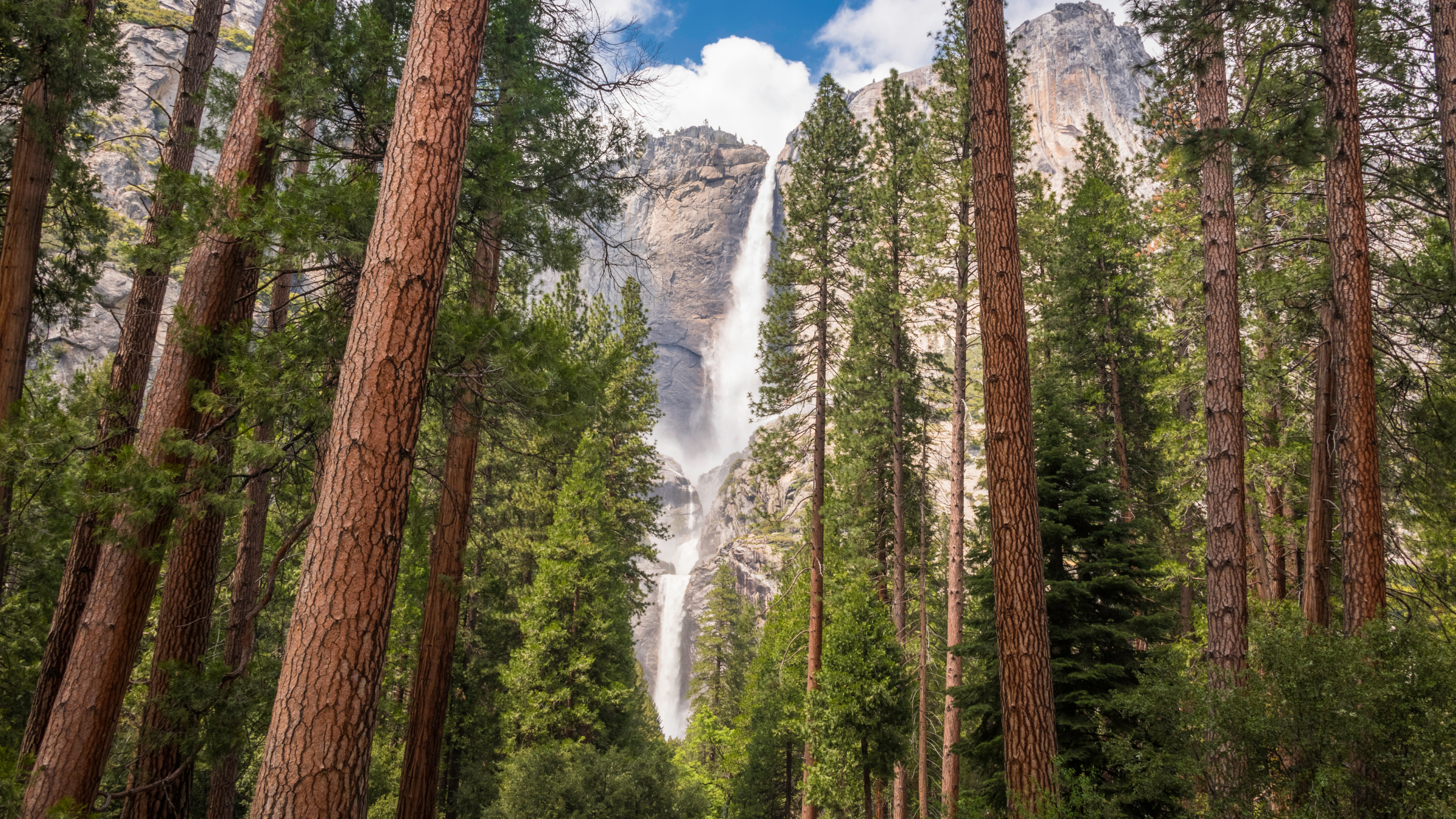 Yosemite Falls in Yosemite National Park during peak waterfall season