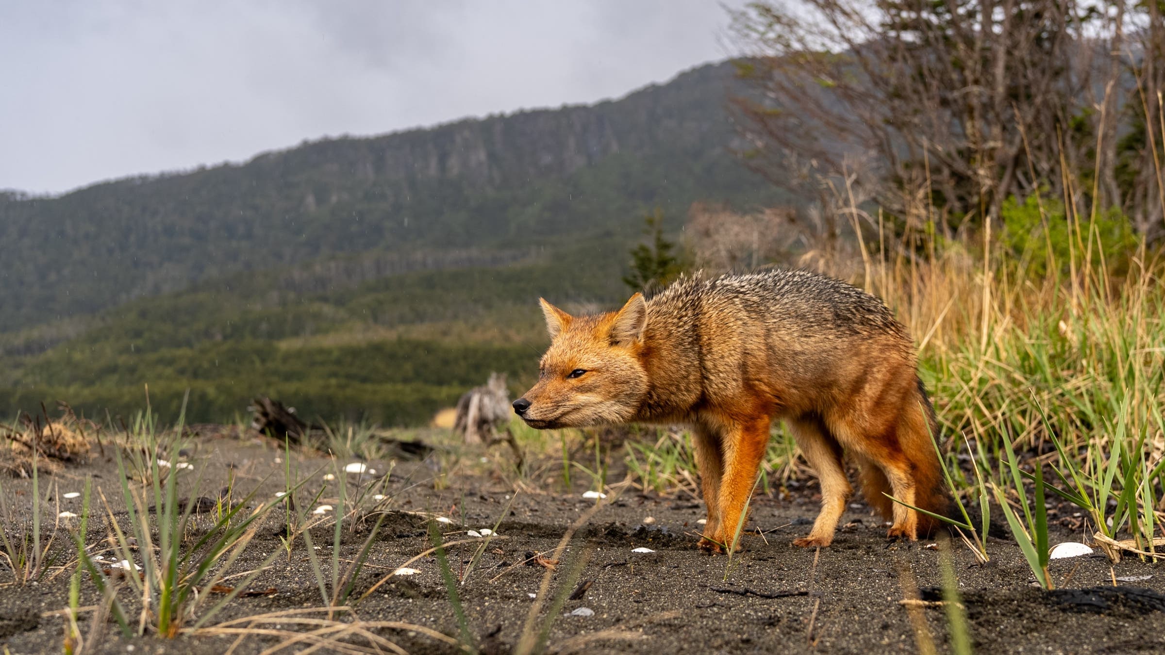 Cape Froward Will Be Patagonia’s New National Park at the Edge of the World