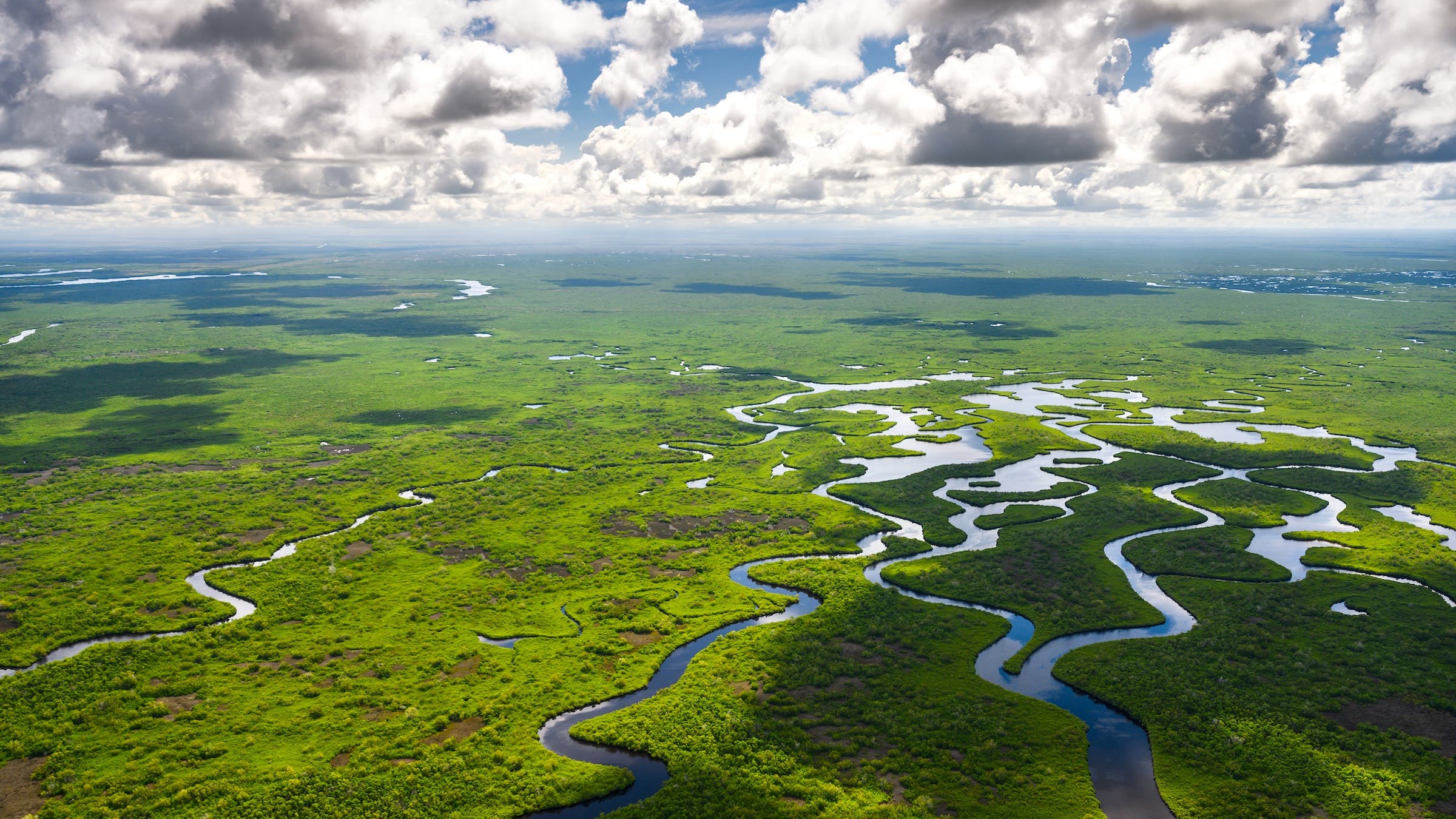everglades