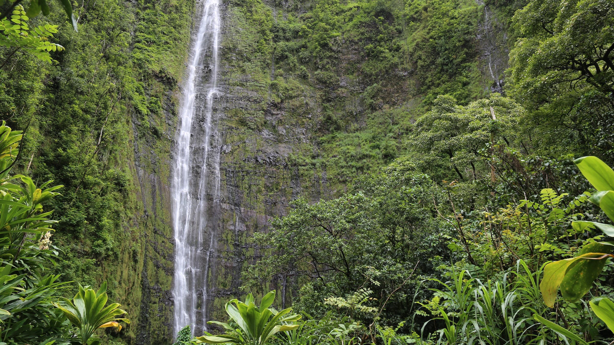 Waterfall at the end of a hike in Kīpahulu District of Haleakala National Park near Hana, Maui, Hawaii