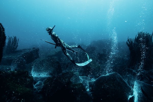 Kimi Werner freediving with a spear gun.